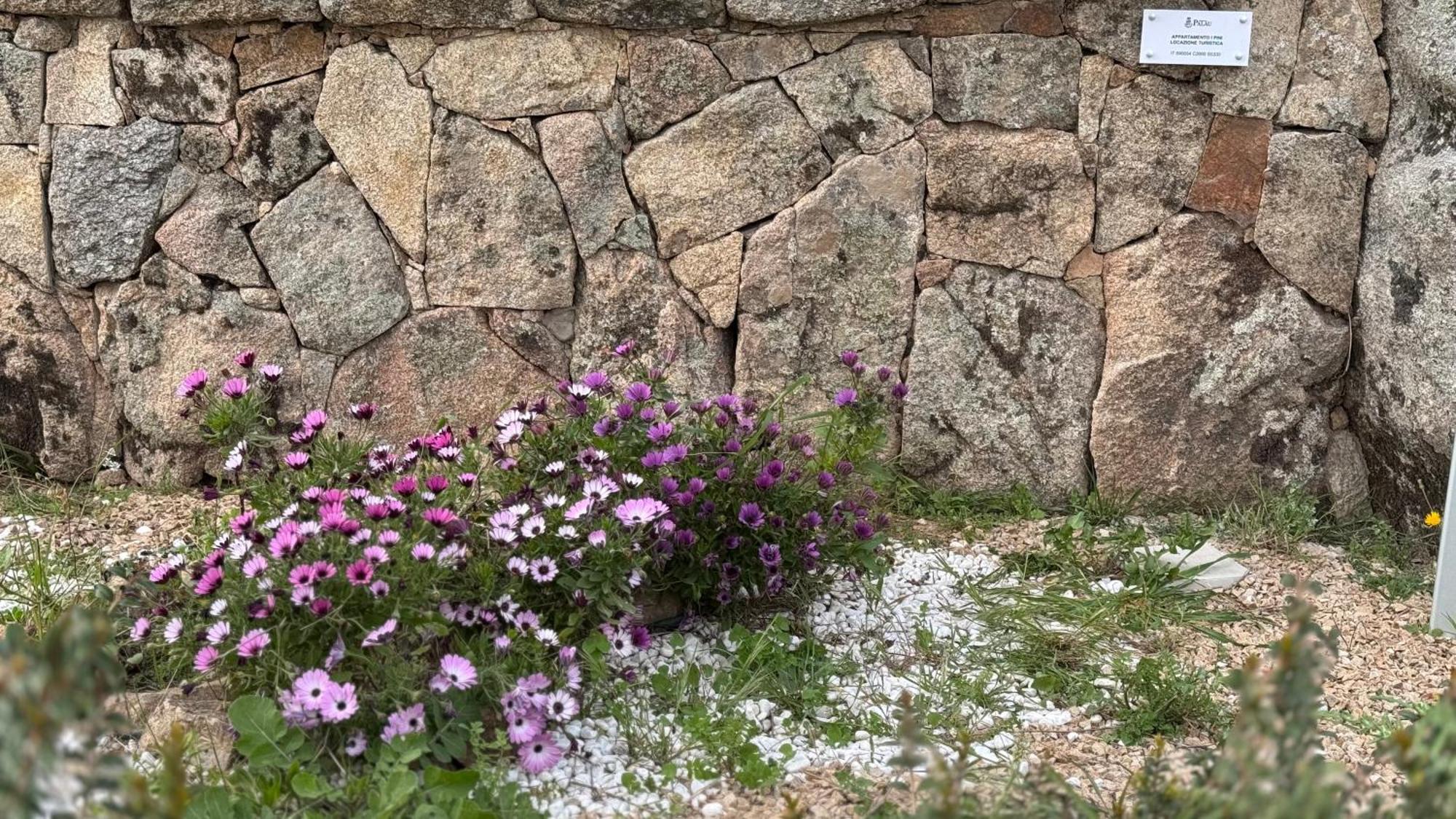 Appartamento I Pini Palau Exterior foto